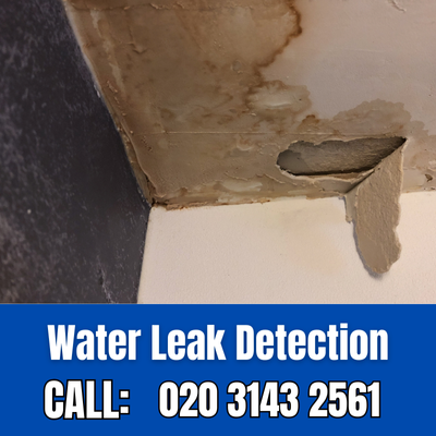 Expert Water Leak Detection Services in Thames Ditton | Thames Ditton Leak Detection